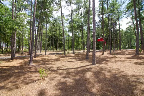 25 Pinewild Dr, Pinehurst, NC 28374 photo 53