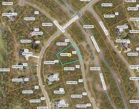 113 Chester Way, Pinehurst, NC 28374 photo 2