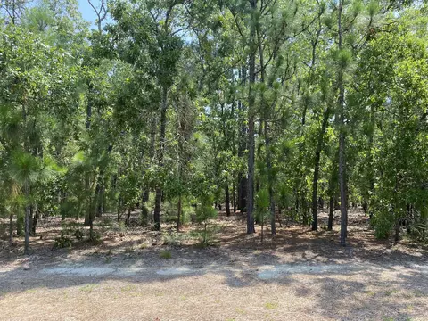 30 Cherry Hill Dr, Pinehurst, NC 28374 photo 3