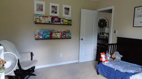 540 Rubicon Rd, West End, NC 27376 photo 25