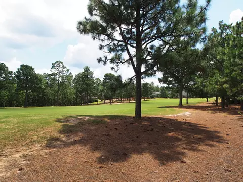 98 Deerwood Ln, Pinehurst, NC 28374 photo 39