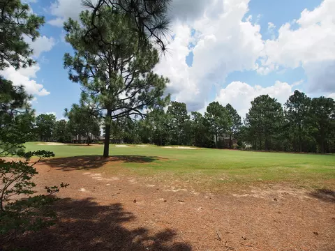98 Deerwood Ln, Pinehurst, NC 28374 photo 37
