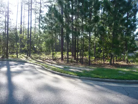 10 Stratford Pl, Pinehurst, NC 28374 photo 9