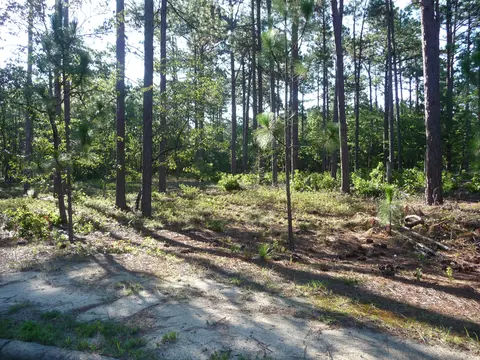 10 Stratford Pl, Pinehurst, NC 28374 photo 7