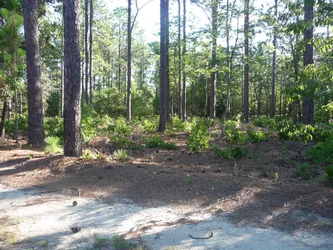 10 Stratford Pl, Pinehurst, NC 28374 photo 6