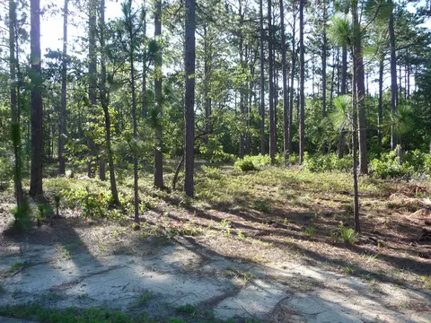 10 Stratford Pl, Pinehurst, NC 28374 photo 4