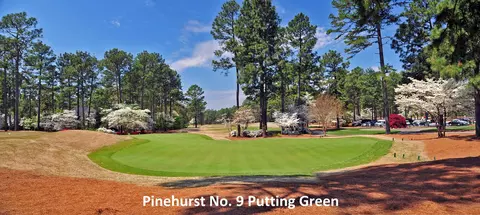 24 Fortrose Cir, Pinehurst, NC 28374 photo 15