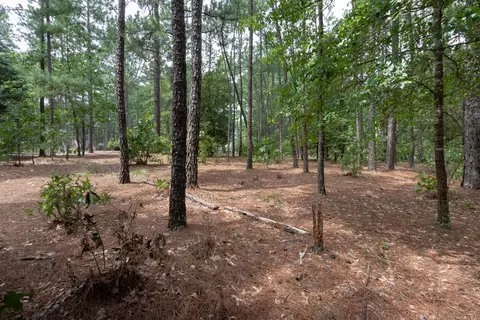 34 Edinburgh Ln, Pinehurst, NC 28374 photo 3