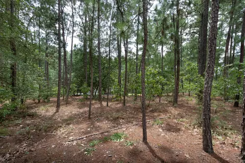 34 Edinburgh Ln, Pinehurst, NC 28374 photo 9