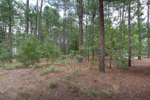 34 Edinburgh Ln, Pinehurst, NC 28374 photo 6