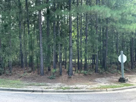 44 Chestertown Dr, Pinehurst, NC 28374 photo 1