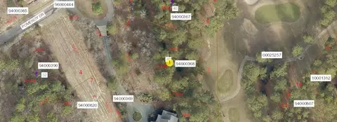 48 Pomeroy Dr, Pinehurst, NC 28374 photo 1
