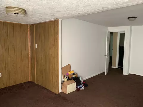 159 Gin Mill Rd, Hamlet, NC 28345 photo 3