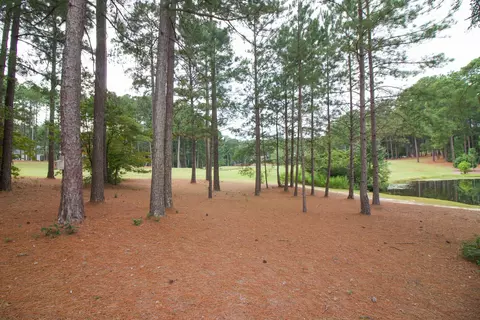 43 Glasgow Dr, Pinehurst, NC 28374 photo 57