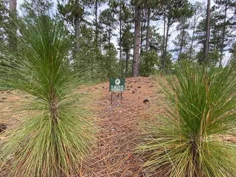 14 Ridgeland St, Pinehurst, NC 28374 photo 1