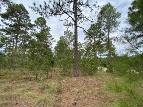 14 Ridgeland St, Pinehurst, NC 28374 photo 6
