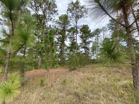 14 Ridgeland St, Pinehurst, NC 28374 photo 4