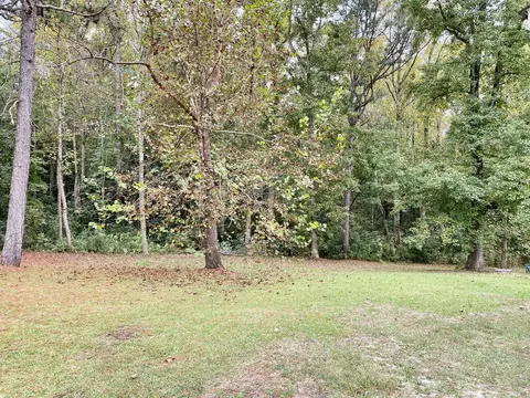 101 Sams Rd, Hamlet, NC 28345 photo 13