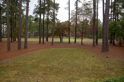 59 Pomeroy Dr, Pinehurst, NC 28374 photo 29