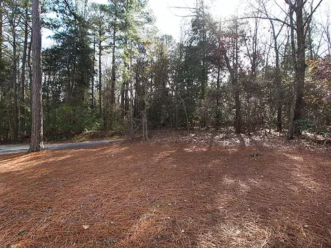 954 Thrush Dr, Vass, NC 28394 photo 50