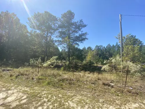 310 Old County Line Rd, Cameron, NC 28326 photo 4