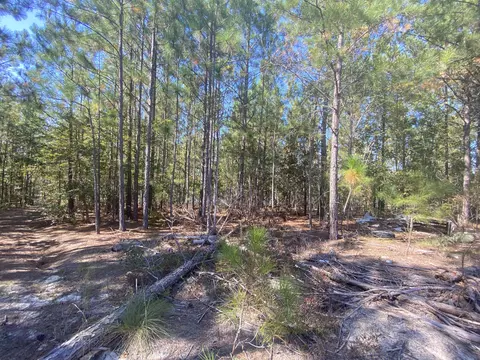 310 Old County Line Rd, Cameron, NC 28326 photo 9