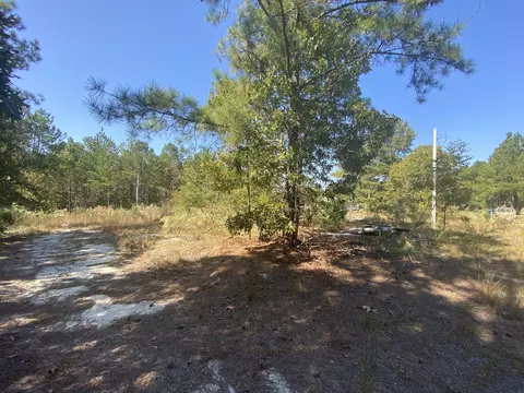 310 Old County Line Rd, Cameron, NC 28326 photo 7