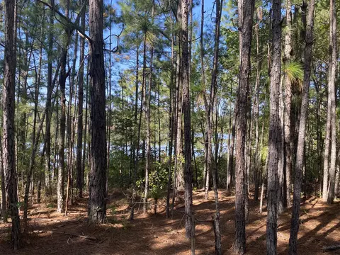 310 Old County Line Rd, Cameron, NC 28326 photo 17
