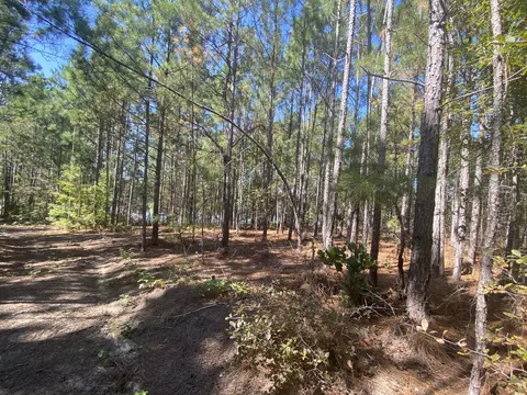 310 Old County Line Rd, Cameron, NC 28326 photo 10