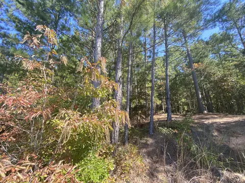 310 Old County Line Rd, Cameron, NC 28326 photo 16