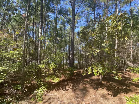 310 Old County Line Rd, Cameron, NC 28326 photo 11