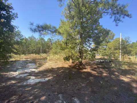 310 Old County Line Rd, Cameron, NC 28326 photo 8