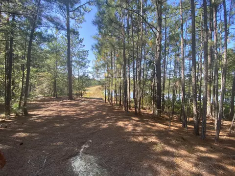 310 Old County Line Rd, Cameron, NC 28326 photo 12