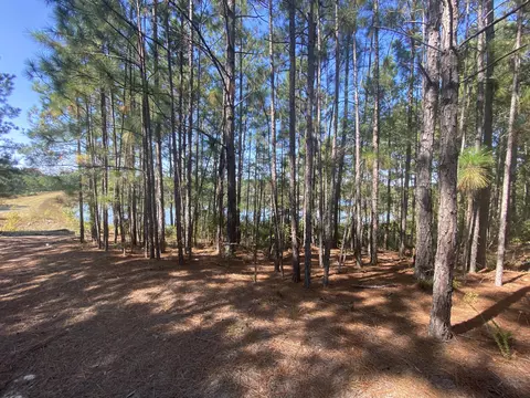 310 Old County Line Rd, Cameron, NC 28326 photo 13