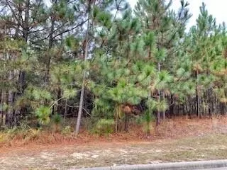 23 Chestertown Dr, Pinehurst, NC 28374 photo 1