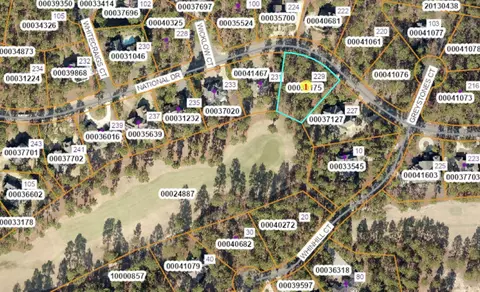 229 National Dr, Pinehurst, NC 28374 photo 7