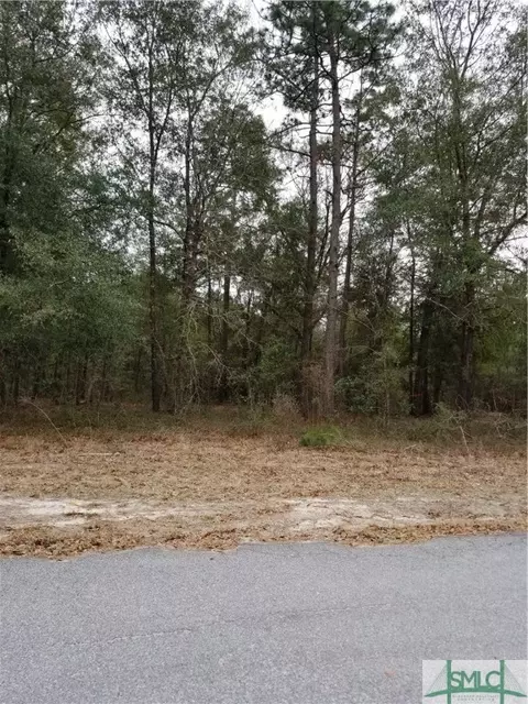125 Mingledorff Way, Springfield, GA 31329 photo 2