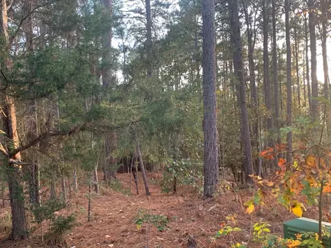 195 Pinyon Cir, Pinehurst, NC 28374 photo 3