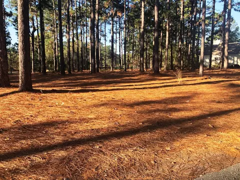 60 Royal County Down, Pinehurst, NC 28374 photo 1