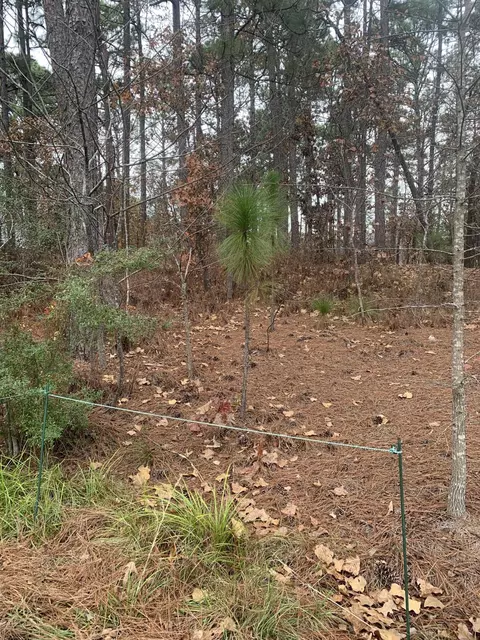 1 Sassafras Ln, Pinehurst, NC 28374 photo 2