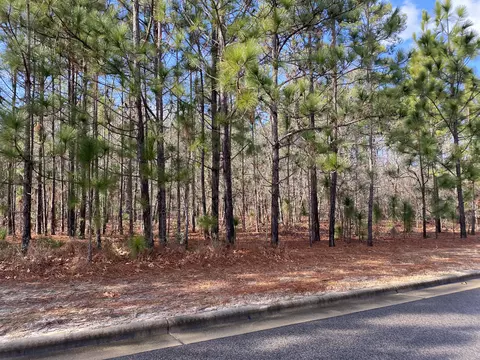 33 Chestertown Dr, Pinehurst, NC 28374 photo 1
