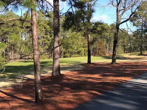25 Chestertown Dr, Pinehurst, NC 28374 photo 2