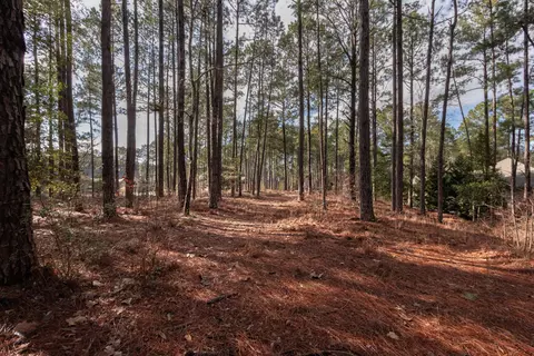 18 Stoneykirk Dr, Pinehurst, NC 28374 photo 6