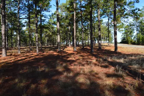 2015 Youngs Rd, Vass, NC 28394 photo 6