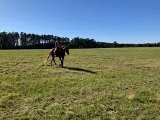2015 Youngs Rd, Vass, NC 28394 photo 2