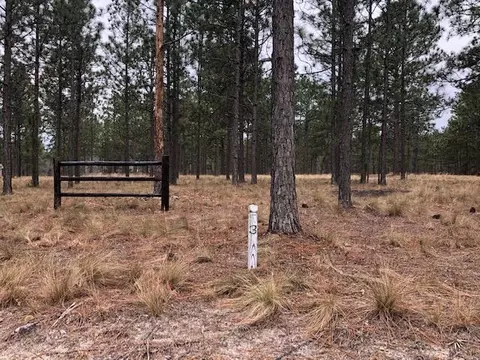 2015 Youngs Rd, Vass, NC 28394 photo 8