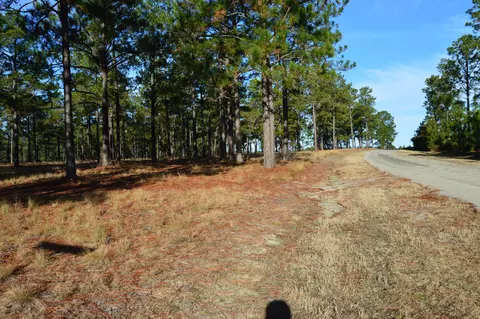 2015 Youngs Rd, Vass, NC 28394 photo 5