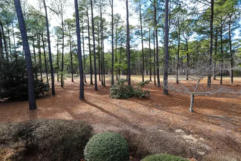 29 Greyabbey Dr, Pinehurst, NC 28374 photo 47