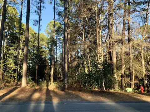 21 Lochmere Dr, Pinehurst, NC 28374 photo 8