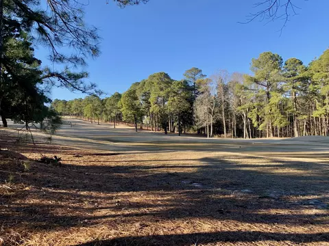 21 Lochmere Dr, Pinehurst, NC 28374 photo 7